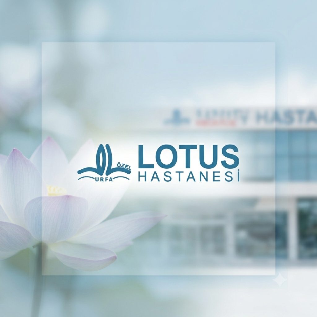 11 Yıllık Özlem Mutlu Sonla Bitti: Lotus'ta Yeni Bir Başarı Hikâyesi!